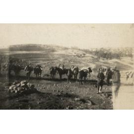 Photo from page 07 of album WWI Photograph Album - New Zealand, Egypt and Sinai & Palestine.