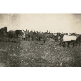 Photo from page 07 of album WWI Photograph Album - New Zealand, Egypt and Sinai & Palestine.