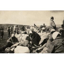 Photo from page 09 of album WWI Photograph Album - New Zealand, Egypt and Sinai & Palestine.