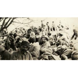 Photo from page 09 of album WWI Photograph Album - New Zealand, Egypt and Sinai & Palestine.