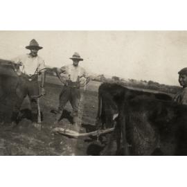 Photo from page 10 of album WWI Photograph Album - New Zealand, Egypt and Sinai & Palestine.