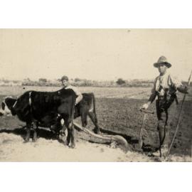 Photo from page 10 of album WWI Photograph Album - New Zealand, Egypt and Sinai & Palestine.