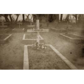 Photo from page 11 of album WWI Photograph Album - New Zealand, Egypt and Sinai & Palestine.