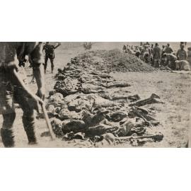 Photo from page 11 of album WWI Photograph Album - New Zealand, Egypt and Sinai & Palestine.