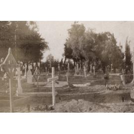 Photo from page 11 of album WWI Photograph Album - New Zealand, Egypt and Sinai & Palestine.