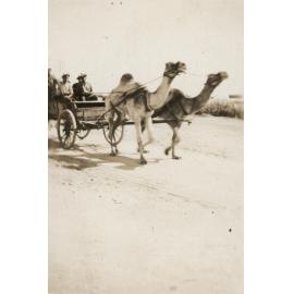 Photo from page 13 of album WWI Photograph Album - New Zealand, Egypt and Sinai & Palestine.