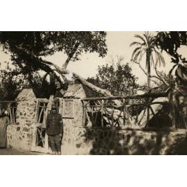 Photo from page 16 of album WWI Photograph Album - New Zealand, Egypt and Sinai & Palestine.