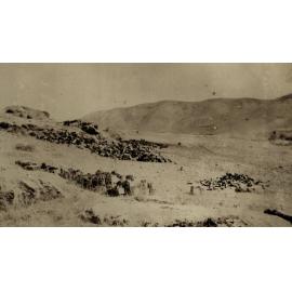 Photo from page 18 of album WWI Photograph Album - New Zealand, Egypt and Sinai & Palestine.