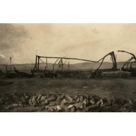 Photo from page 18 of album WWI Photograph Album - New Zealand, Egypt and Sinai & Palestine.