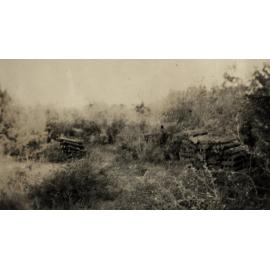 Photo from page 18 of album WWI Photograph Album - New Zealand, Egypt and Sinai & Palestine.