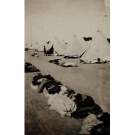 Photo from page 19 of album WWI Photograph Album - New Zealand, Egypt and Sinai & Palestine.