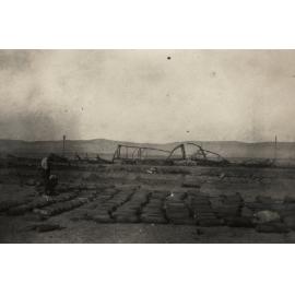 Photo from page 23 of album WWI Photograph Album - New Zealand, Egypt and Sinai & Palestine.