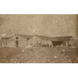 Photo from page 25 of album WWI Photograph Album - New Zealand, Egypt and Sinai & Palestine.