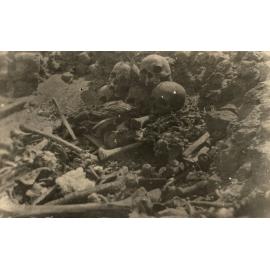 Photo from page 26 of album WWI Photograph Album - New Zealand, Egypt and Sinai & Palestine.