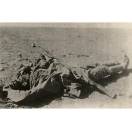 Photo from page 26 of album WWI Photograph Album - New Zealand, Egypt and Sinai & Palestine.