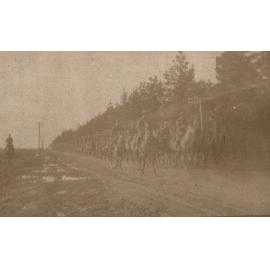 Photo from page 03 of album WWI Photograph Album - New Zealand, Egypt, Sinai & Palestine.