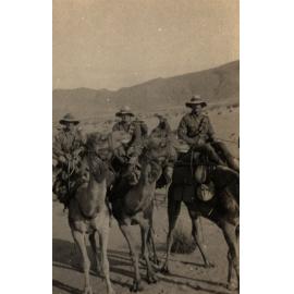 Photo from page 04 of album WWI Photograph Album - New Zealand, Egypt, Sinai & Palestine.