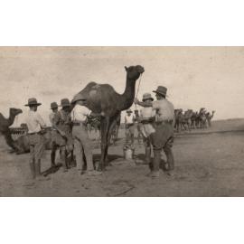 Photo from page 04 of album WWI Photograph Album - New Zealand, Egypt, Sinai & Palestine.