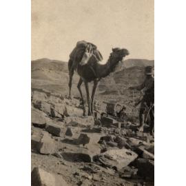 Photo from page 04 of album WWI Photograph Album - New Zealand, Egypt, Sinai & Palestine.