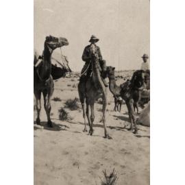Photo from page 05 of album WWI Photograph Album - New Zealand, Egypt, Sinai & Palestine.