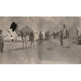 Photo from page 05 of album WWI Photograph Album - New Zealand, Egypt, Sinai & Palestine.