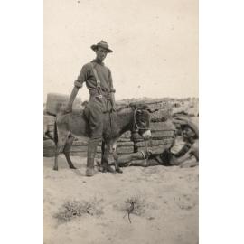 Photo from page 06 of album WWI Photograph Album - New Zealand, Egypt, Sinai & Palestine.