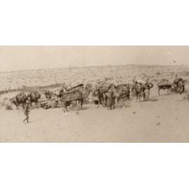 Photo from page 07 of album WWI Photograph Album - New Zealand, Egypt, Sinai & Palestine.