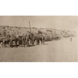 Photo from page 07 of album WWI Photograph Album - New Zealand, Egypt, Sinai & Palestine.