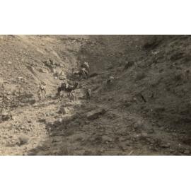 Photo from page 07 of album WWI Photograph Album - New Zealand, Egypt, Sinai & Palestine.