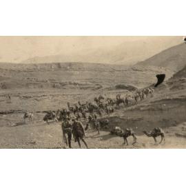 Photo from page 08 of album WWI Photograph Album - New Zealand, Egypt, Sinai & Palestine.