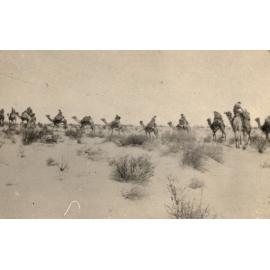 Photo from page 08 of album WWI Photograph Album - New Zealand, Egypt, Sinai & Palestine.