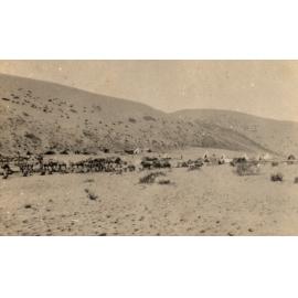 Photo from page 08 of album WWI Photograph Album - New Zealand, Egypt, Sinai & Palestine.