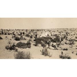 Photo from page 08 of album WWI Photograph Album - New Zealand, Egypt, Sinai & Palestine.