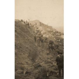 Photo from page 09 of album WWI Photograph Album - New Zealand, Egypt, Sinai & Palestine.