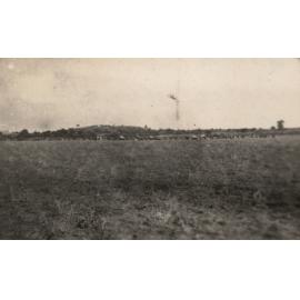 Photo from page 13 of album WWI Photograph Album - New Zealand, Egypt, Sinai & Palestine.