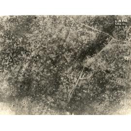Photo from page 24 of album WWI Photograph Album - Western Front.