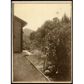 WWI Photograph Album - Western Front. [loose photo]