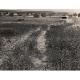 Photo from page 23 of album WWII Photograph Album - Egypt, Crete & North Africa