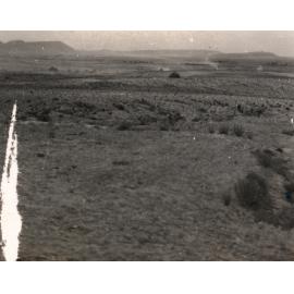 Photo from page 23 of album WWII Photograph Album - Egypt, Crete & North Africa