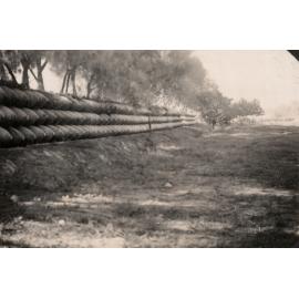 Photo from page 29 of album WWII Photograph Album - Egypt, Crete & North Africa