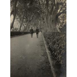 Photo from page 21 of album WWI Photograph Album - Egypt.