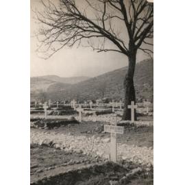 Photo from page 07 of album Photograph Album: 28 Maori Battalion - WWII
