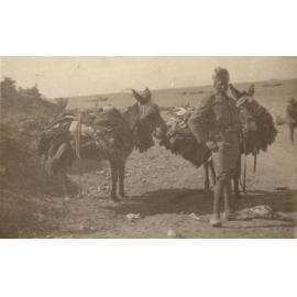 Photo from page 07 of album WWI Photograph Albums