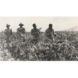 Photo from page 19 of album Photograph Album: 28 Maori Battalion - WWII