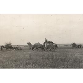 Photo from page 03 of album Photograph Album: Charles Bennett - WWII