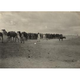 Photo from page 23 of album WWI Photograph Album - Egypt.