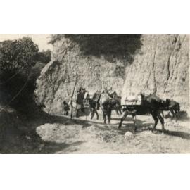 Photo from page 11 of album WWI Photograph Album - Egypt and Gallipoli