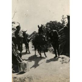 Photo from page 26 of album WWI Photograph Album - Egypt and Gallipoli
