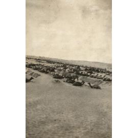 Photo from page 06 of album WWI Photograph Album - Egypt and Palestine, WWI