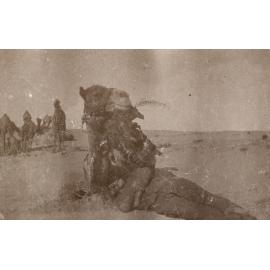 Photo from page 14 of album WWI Photograph Album - Egypt and Palestine, WWI